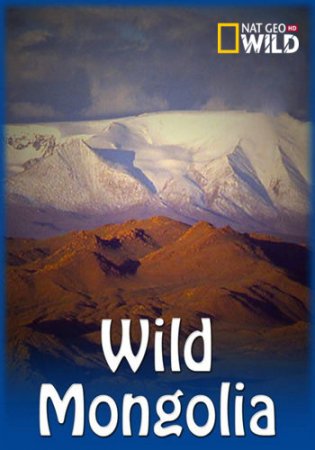 Дикая Монголия: страна крайностей. Выжившие в пустыне / Wild Mongolia. Land of Extremes (2018/HDTV) 1080i
