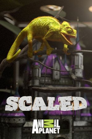 Дом для рептилий. Агамы Дикого Запада / Scaled (2018/HDTV) 1080i