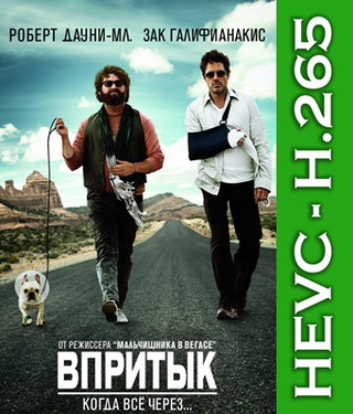 Впритык / Due Date (2010/BDRip-HEVC) 1080p